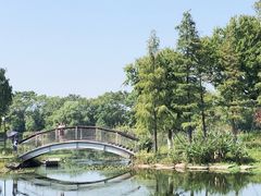 -西山漾湿地公园