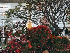 -厦门高崎国际机场-T3航站楼