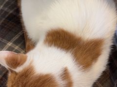 -平行世界·猫咖(首经贸店)