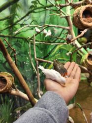 -Zoolung Zoolung动物主题公园(海信广场店)