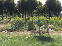 -呼吸森林·生态农庄农家乐私房菜