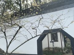 -上海醉白池公园