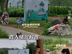 -广西壮族自治区药用植物园