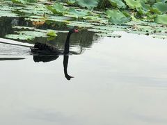 -北京清河万象汇