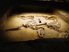 -洛阳周王城天子驾六博物馆