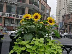 -江南村酒家