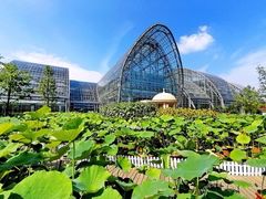 -南山植物园