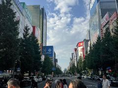 -秋叶原电器街
