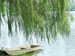 -洋湖国家湿地公园