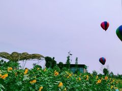 -七曲山风景区