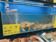 -醉壹号海鲜大排档(厦门店)