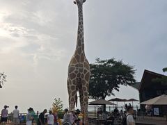 -西霞口神雕山野生动物世界