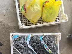 -马陆小张葡萄园农家乐