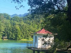 -天花井景区