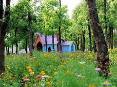 -三圣花乡旅游区