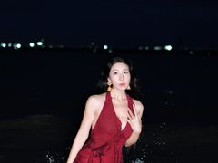 -巨鹏飞梦幻海岸