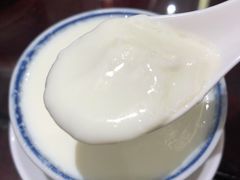 姜汁撞奶-民信老铺(双皮奶博物馆店)