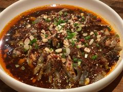 -铁公鸡·四川料理(天环广场店)