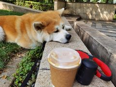 -COFFEE HOLIC(朝外SOHO店)