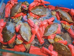 -华盛丰温州大排档(东三环南路店)