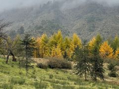 -硗碛藏寨·神木垒景区