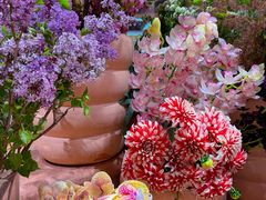 -BEAST野兽派(上海浦东嘉里城店)