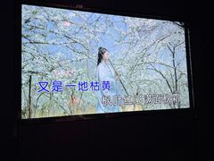 -佰迪乐KTV·大屏K歌(公园店)