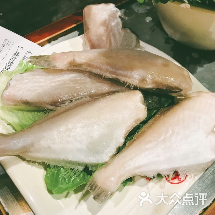 精品耗兒魚