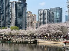 -西北湖绿化广场