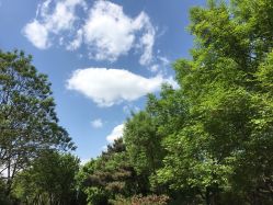 点击看大图 -大望京儿童游乐场