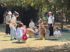 -杭州野生动物世界