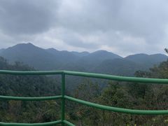 -四明山国家森林公园