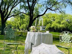 -上海共青森林公园