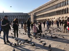 -圣马尔谷圣殿宗主教座堂