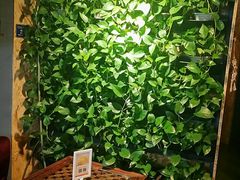 -美好时光咖啡馆(陕西广电丝路文化大厦店)
