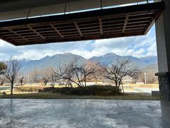 -林芝工布庄园希尔顿酒店-猎味中餐厅