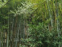 -广东温泉宾馆