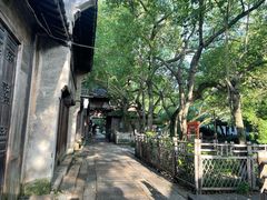 -乌镇东栅景区