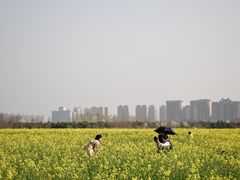 -汉长安城未央宫国家考古遗址公园