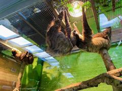 -北京野生动物园