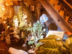 -多哥水傣味餐厅(司马巷店)