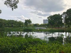 -金银湖国家城市湿地公园