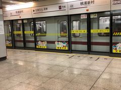 -桃浦新村(地铁站)