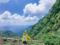 -牛背梁国家森林公园