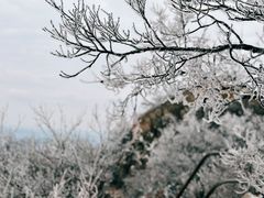 -紫金山山顶公园
