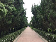 -洛阳市隋唐城遗址植物园