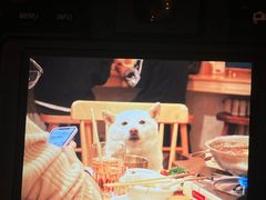 -柴の食堂·日式家庭料理·熊之肆(大学路店)