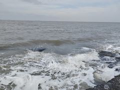 -小黑石海滨浴场·停车场