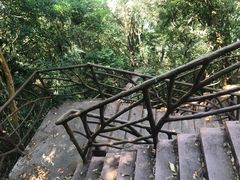 -海南热带雨林国家公园吊罗山景区