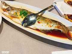 -羲和雅苑•北京烤鸭(国贸商城店)